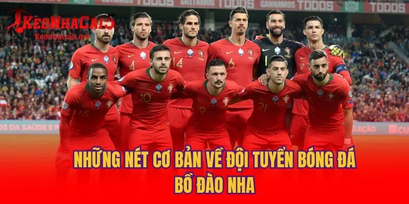 Những nét cơ bản về đội tuyển bóng đá Bồ Đào Nha