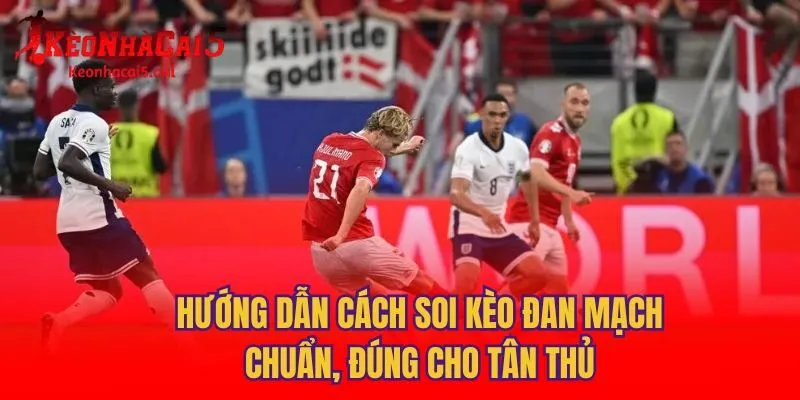 Hướng Dẫn Cách Soi Kèo Đan Mạch Chuẩn, Đúng Cho Tân Thủ